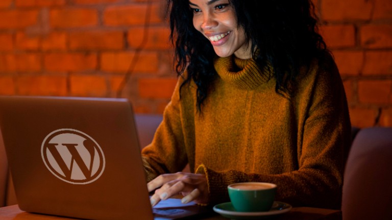 Super Plugin WordPress: por que empresas estão trocando dezenas de extensões por um único código próprio
